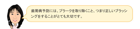 歯周病予防には、プラークを取り除くこと、つまり正しいブラッシングをすることがとても大切です。